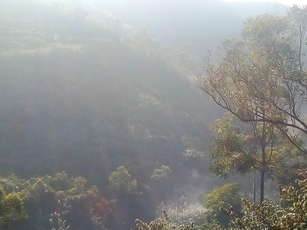 Gregory * Nuwara Eliya